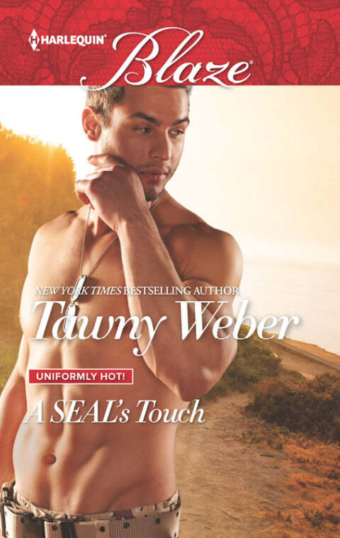 Cover image for book A SEAL's Touch