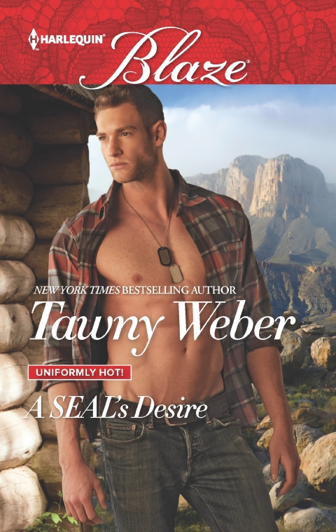 Cover image for book A SEAL's Desire