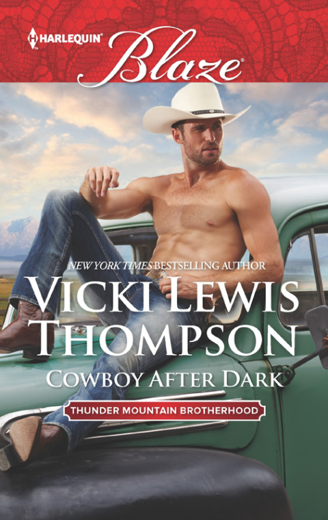 Cover image for book Cowboy After Dark