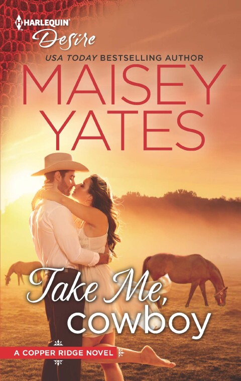 Cover image for book Take Me, Cowboy
