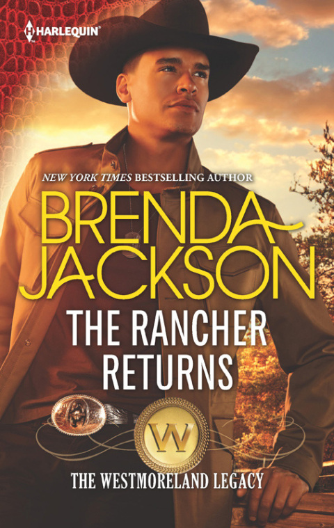Cover image for book The Rancher Returns