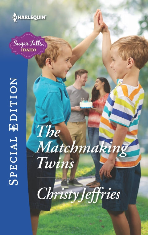 Cover image for book The Matchmaking Twins