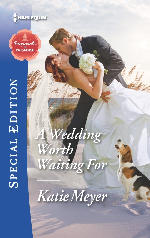Cover image for book A Wedding Worth Waiting For