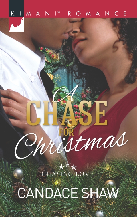 Cover image for book A Chase for Christmas