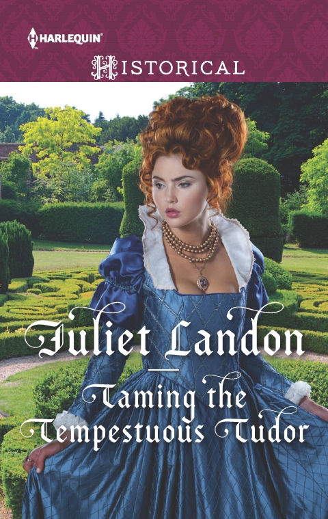Cover image for book Taming the Tempestuous Tudor