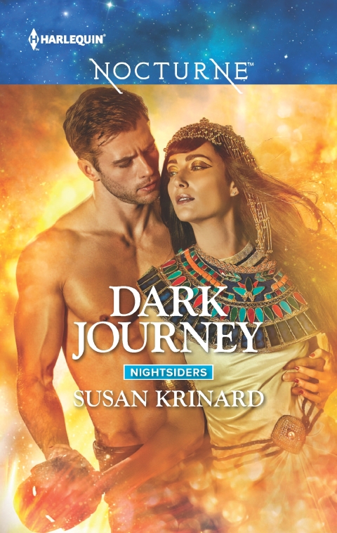 Cover image for book Dark Journey