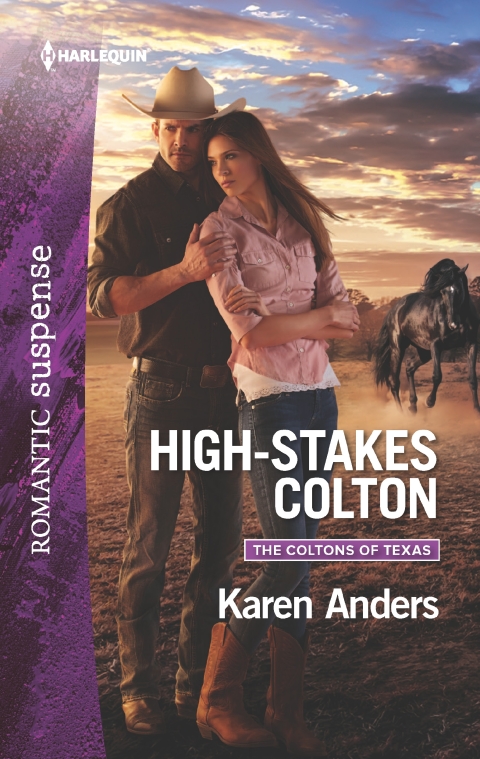 Cover image for book High-Stakes Colton