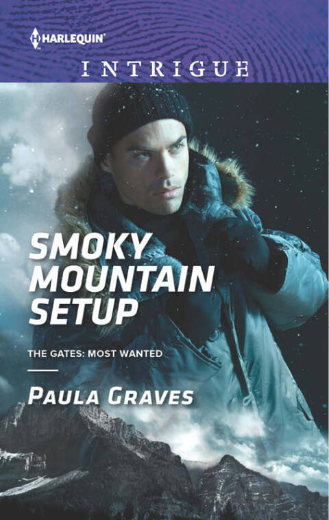 Cover image for book Smoky Mountain Setup