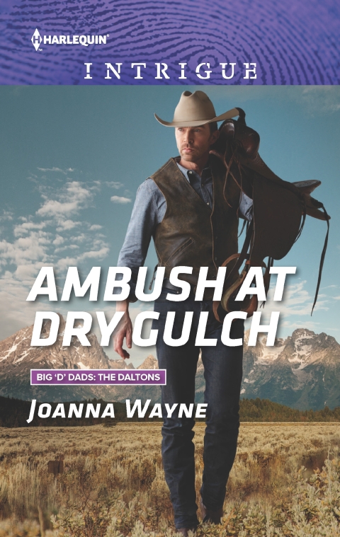 Cover image for book Ambush at Dry Gulch