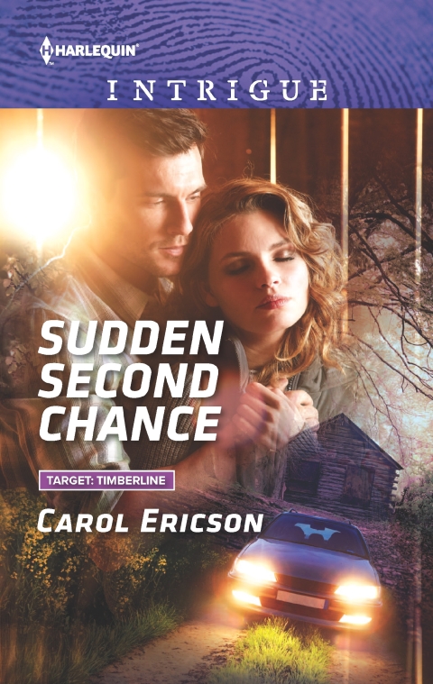 Cover image for book Sudden Second Chance