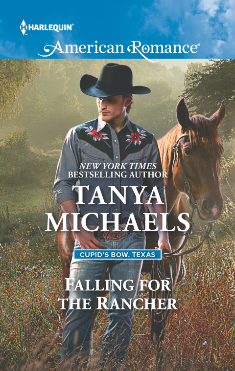 Cover image for book Falling for the Rancher