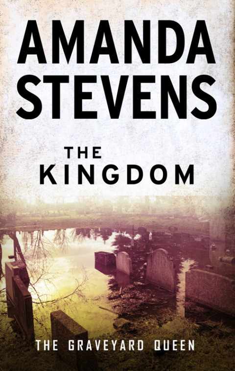 Cover image for book The Kingdom