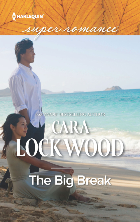 Cover image for book The Big Break