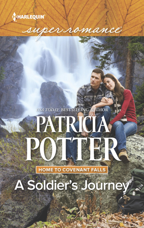 Cover image for book A Soldier's Journey
