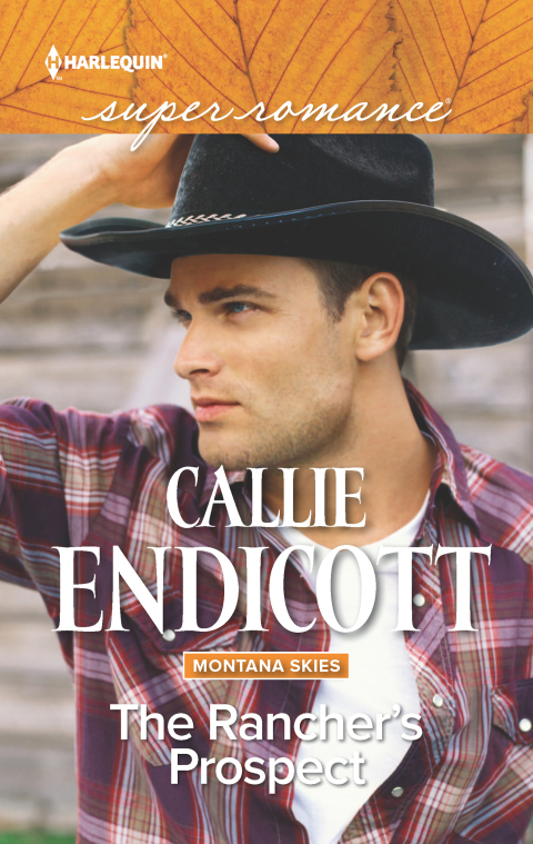 Cover image for book The Rancher's Prospect
