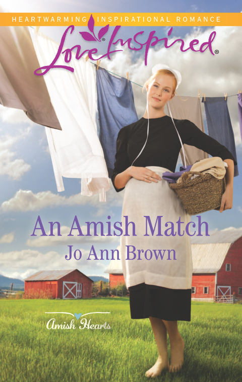 Cover image for book An Amish Match