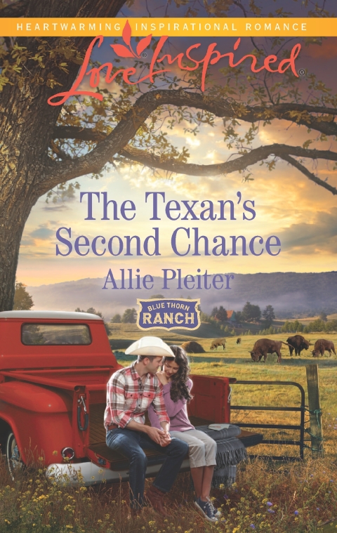 Cover image for book The Texan's Second Chance
