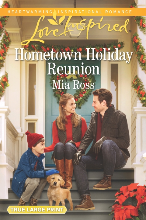 Cover image for book Hometown Holiday Reunion