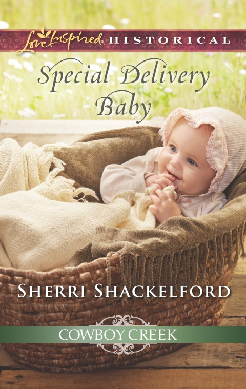 Cover image for book Special Delivery Baby
