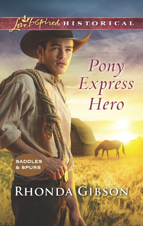 Cover image for book Pony Express Hero