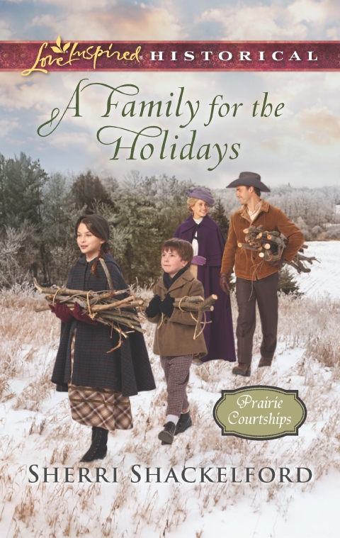 Cover image for book A Family for the Holidays