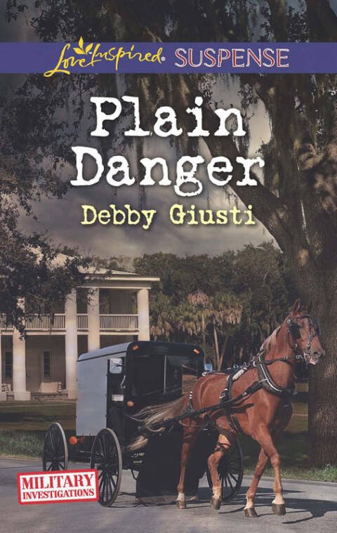 Cover image for book Plain Danger