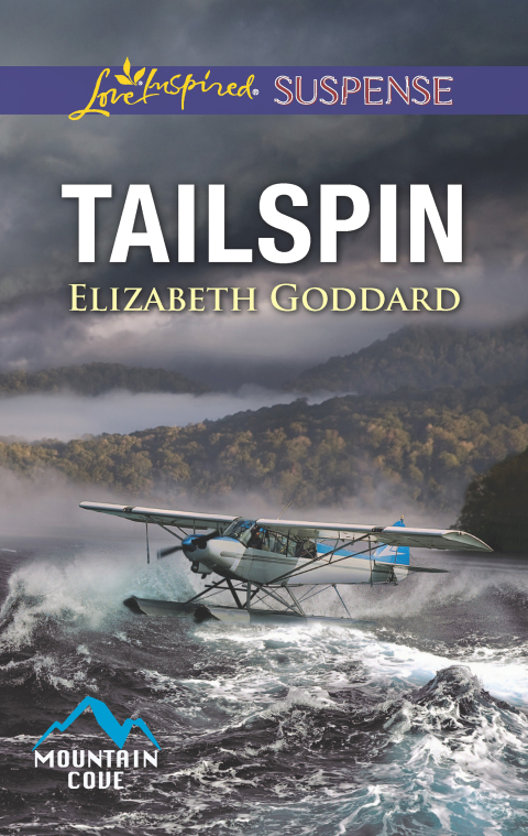 Cover image for book Tailspin
