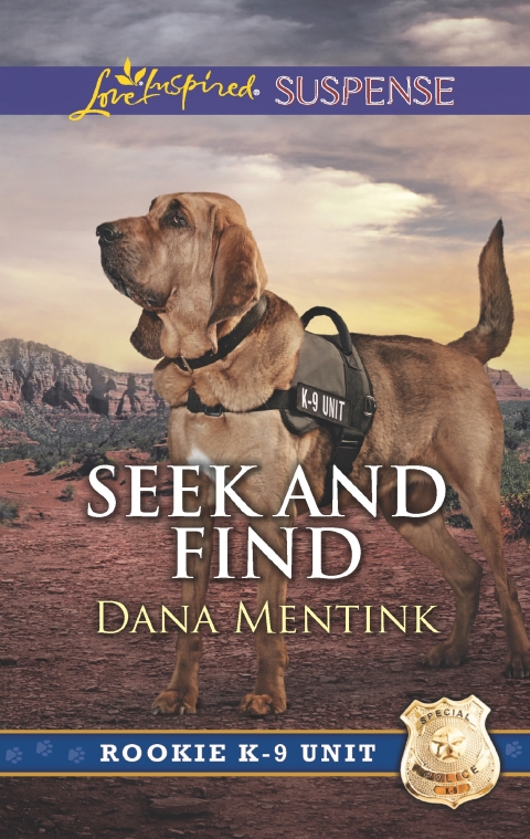 Cover image for book Seek and Find