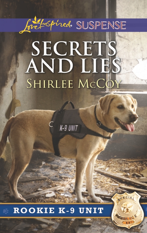 Cover image for book Secrets and Lies