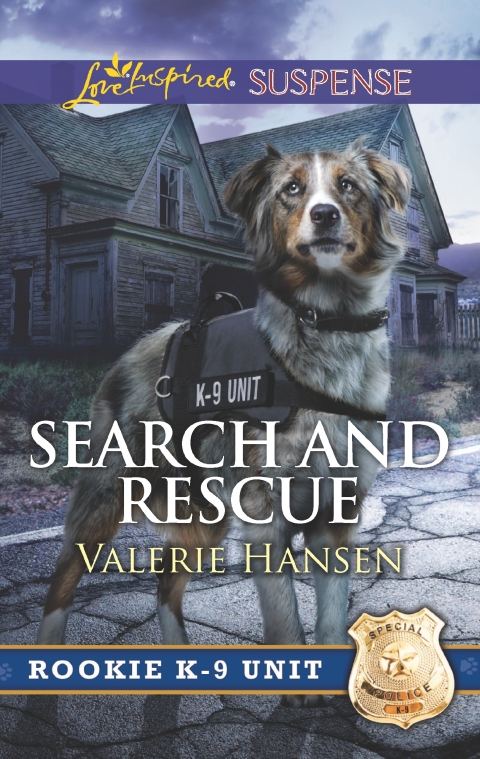 Cover image for book Search and Rescue