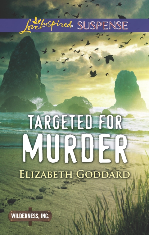 Cover image for book Targeted for Murder