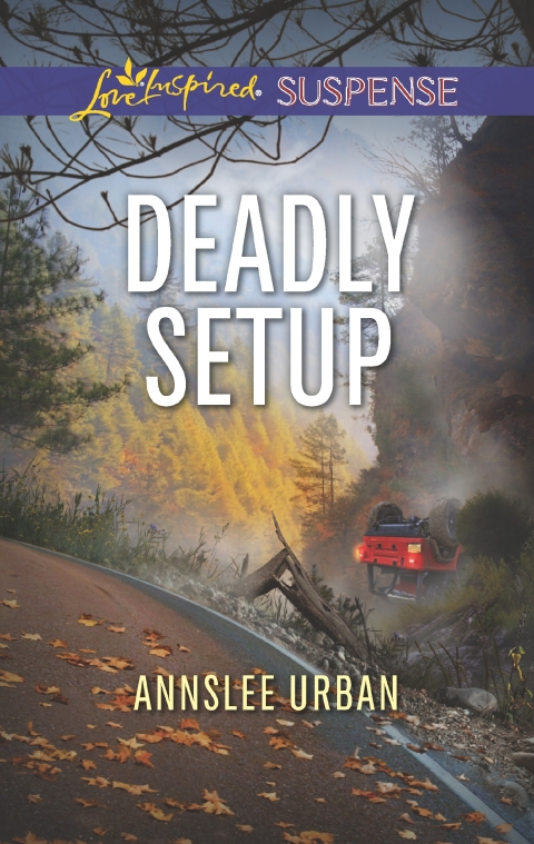 Cover image for book Deadly Setup