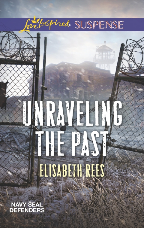 Cover image for book Unraveling the Past