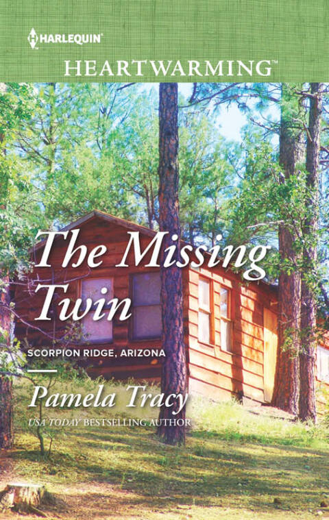 Cover image for book The Missing Twin