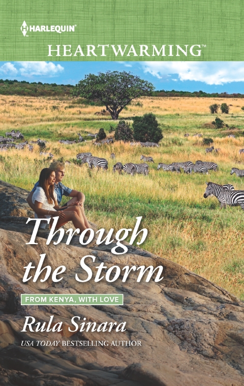 Cover image for book Through the Storm