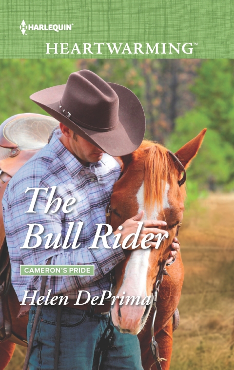 Cover image for book The Bull Rider