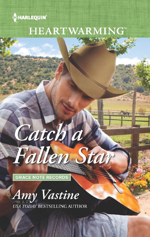 Cover image for book Catch a Fallen Star