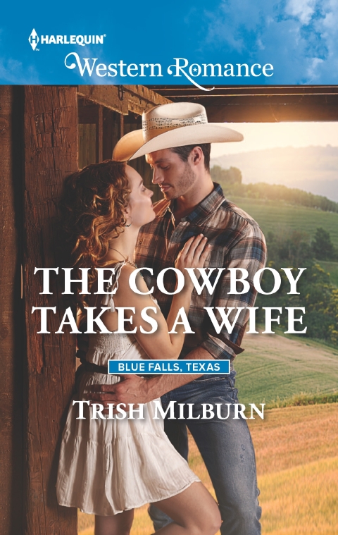 Cover image for book The Cowboy Takes a Wife