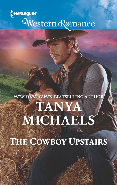 Cover image for book The Cowboy Upstairs