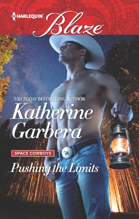 Cover image for book Pushing the Limits