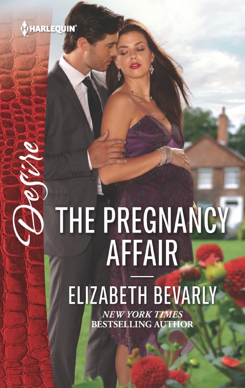 Cover image for book The Pregnancy Affair