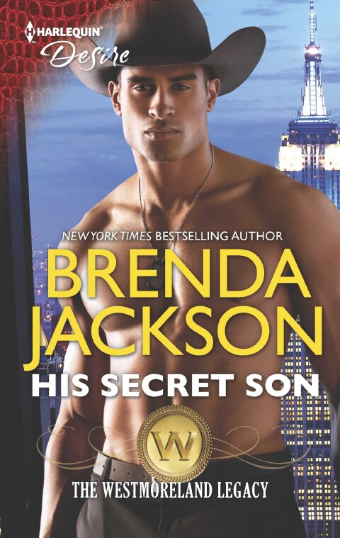 Cover image for book His Secret Son