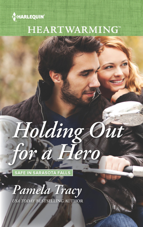 Cover image for book Holding Out for a Hero