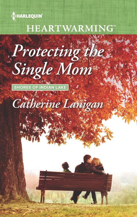 Cover image for book Protecting the Single Mom