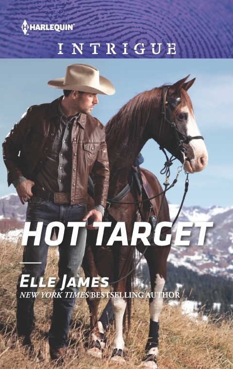 Cover image for book Hot Target