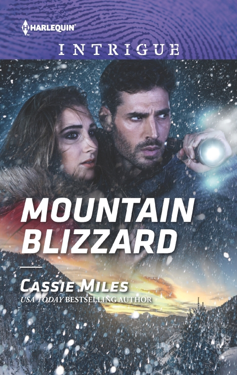 Cover image for book Mountain Blizzard