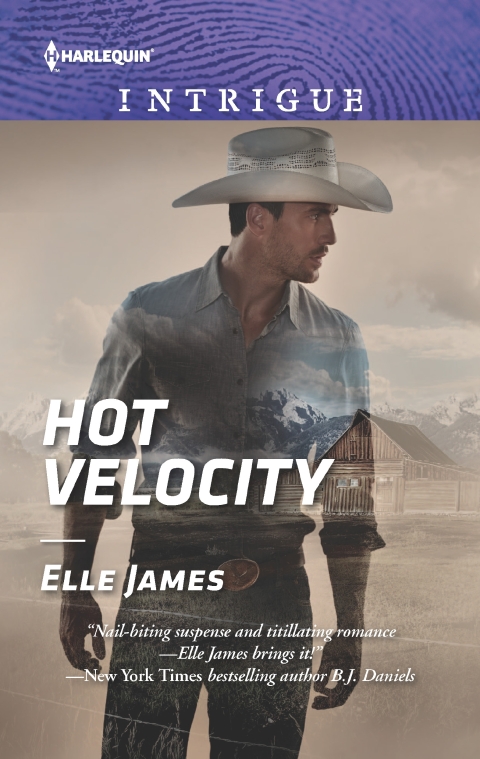 Cover image for book Hot Velocity