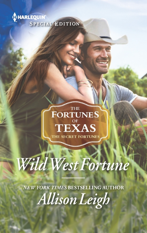 Cover image for book Wild West Fortune