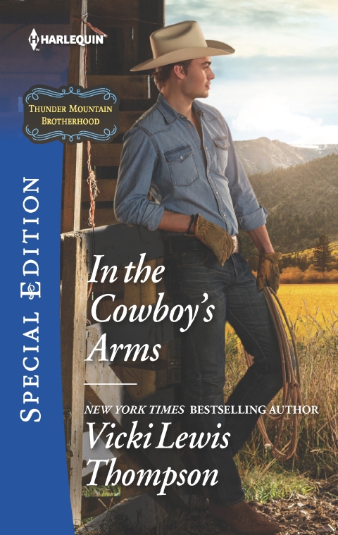 Cover image for book In the Cowboy's Arms