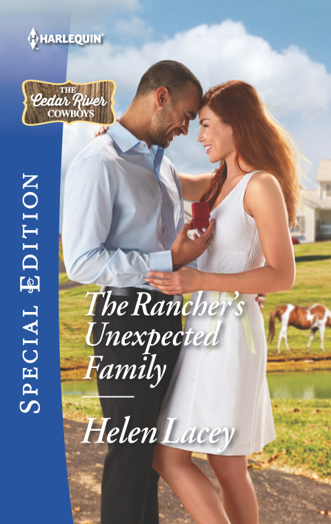 Cover image for book The Rancher's Unexpected Family